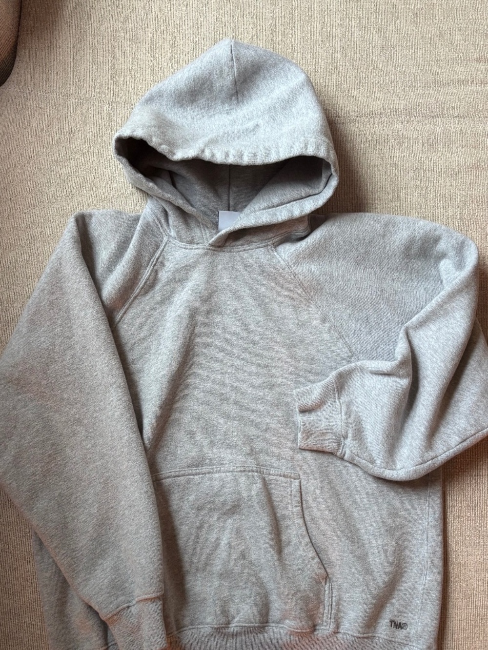 Aritzia TNA Grey Cropped Hoodie